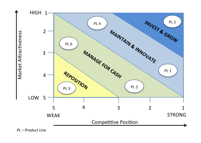 TMI-PORTFOLIO-RATION-A-STRATEGIC-ANALYSIS